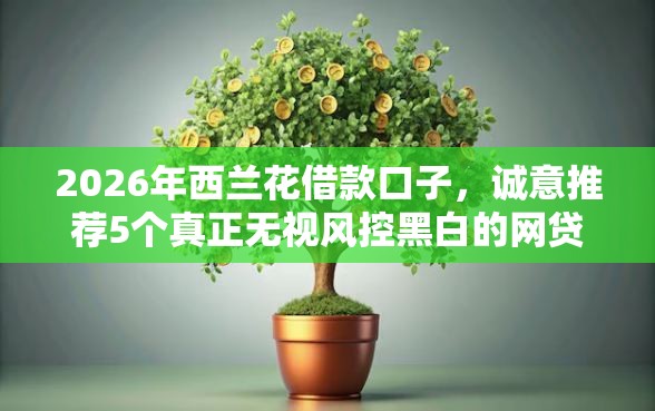 2026年西兰花借款口子，诚意推荐5个真正无视风控黑白的网贷