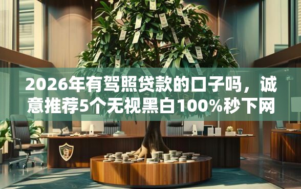 2026年有驾照贷款的口子吗，诚意推荐5个无视黑白100%秒下网贷平台