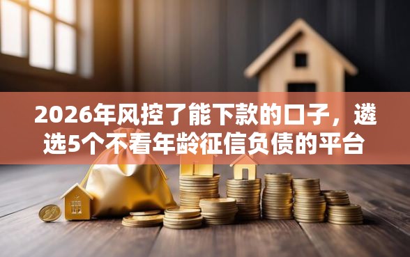 2026年风控了能下款的口子，遴选5个不看年龄征信负债的平台