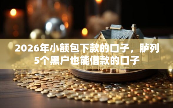 2026年小额包下款的口子，胪列5个黑户也能借款的口子