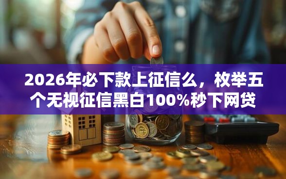 2026年必下款上征信么，枚举五个无视征信黑白100%秒下网贷平台