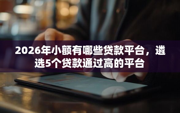 2026年小额有哪些贷款平台，遴选5个贷款通过高的平台