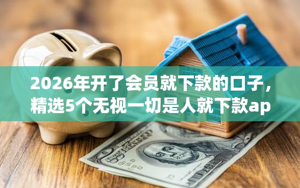 2026年开了会员就下款的口子，精选5个无视一切是人就下款app