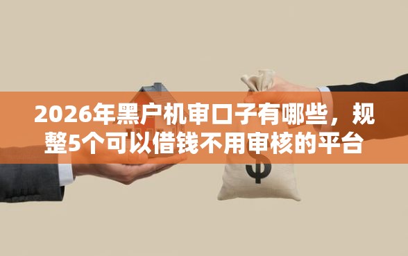 2026年黑户机审口子有哪些，规整5个可以借钱不用审核的平台