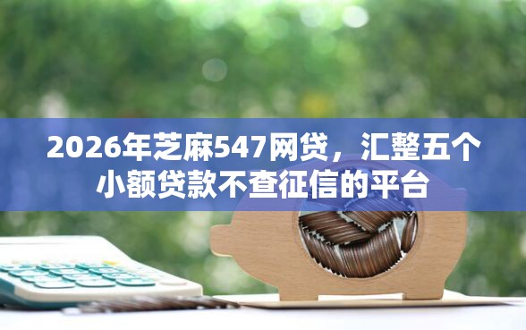 2026年芝麻547网贷，汇整五个小额贷款不查征信的平台