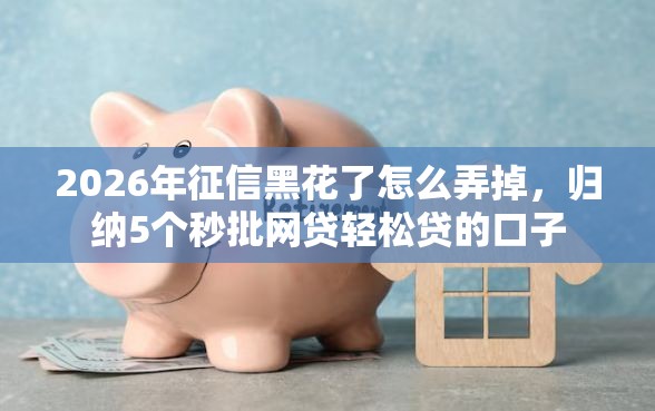 2026年征信黑花了怎么弄掉，归纳5个秒批网贷轻松贷的口子