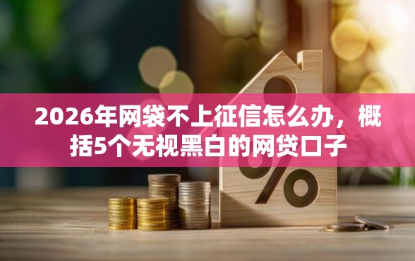 2026年网袋不上征信怎么办，概括5个无视黑白的网贷口子