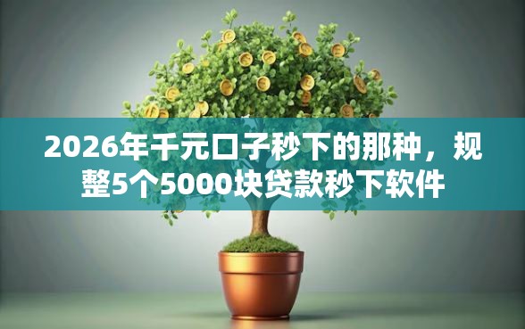 2026年千元口子秒下的那种，规整5个5000块贷款秒下软件