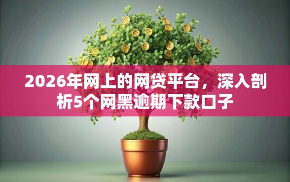 2026年网上的网贷平台，深入剖析5个网黑逾期下款口子