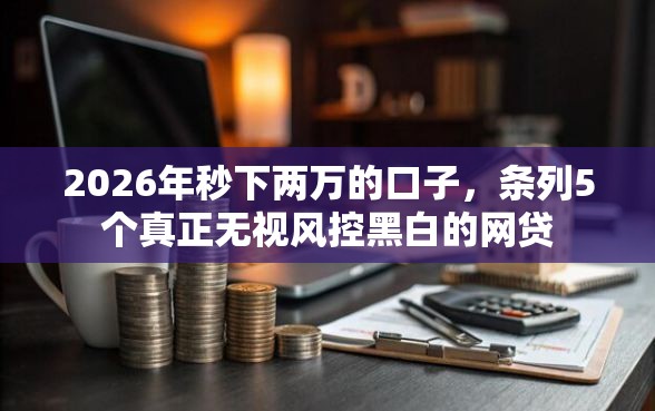 2026年秒下两万的口子，条列5个真正无视风控黑白的网贷