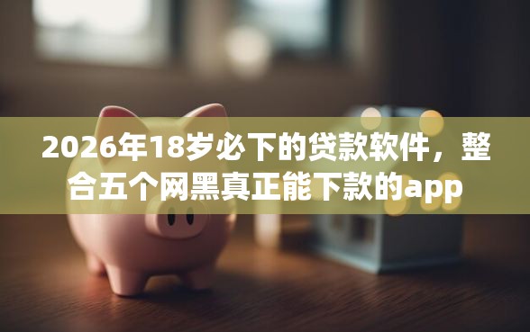 2026年18岁必下的贷款软件，整合五个网黑真正能下款的app