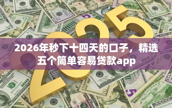 2026年秒下十四天的口子，精选五个简单容易贷款app