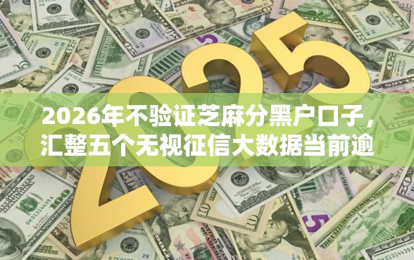 2026年不验证芝麻分黑户口子，汇整五个无视征信大数据当前逾期下款的口子