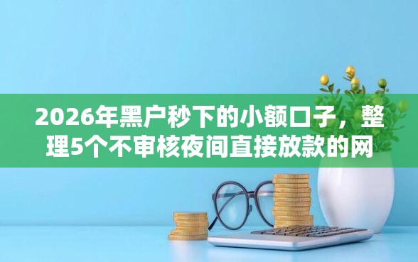 2026年黑户秒下的小额口子，整理5个不审核夜间直接放款的网贷口子