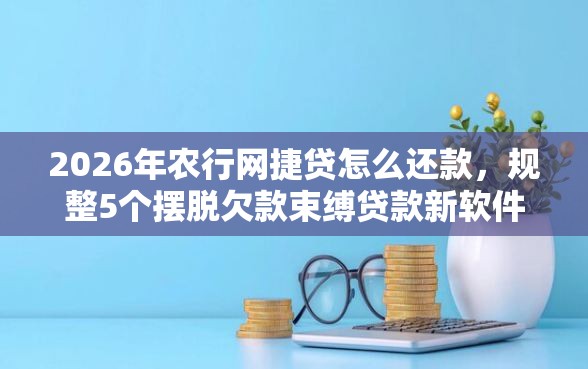 2026年农行网捷贷怎么还款,规整5个摆脱欠款束缚贷款新软件 2026年农行网捷贷怎么还款,规整5个摆脱欠款束缚贷款新软件