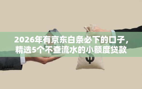 2026年有京东白条必下的口子，精选5个不查流水的小额度贷款口子
