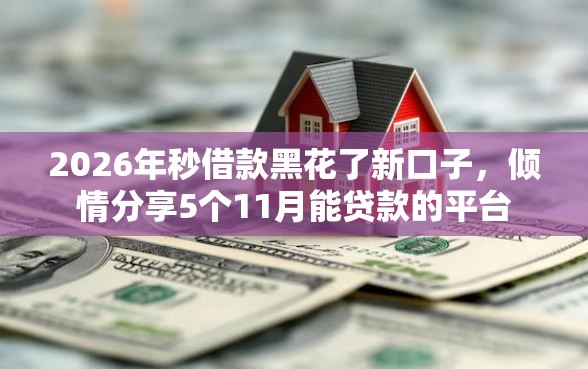 2026年秒借款黑花了新口子，倾情分享5个11月能贷款的平台
