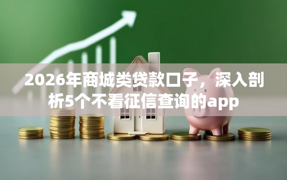 2026年商城类贷款口子，深入剖析5个不看征信查询的app