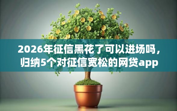 2026年征信黑花了可以进场吗，归纳5个对征信宽松的网贷app
