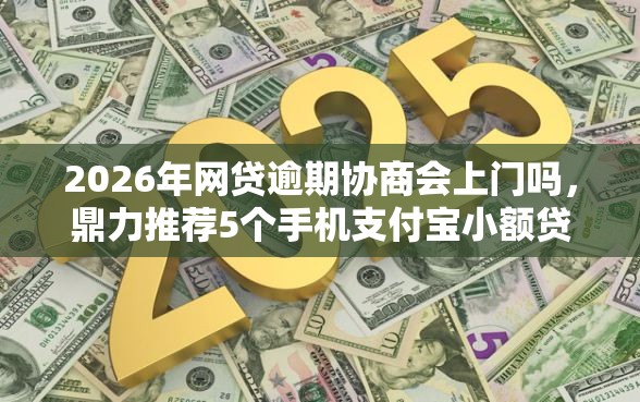 2026年网贷逾期协商会上门吗，鼎力推荐5个手机支付宝小额贷款的平台