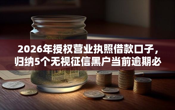 2026年授权营业执照借款口子，归纳5个无视征信黑户当前逾期必下款的口子