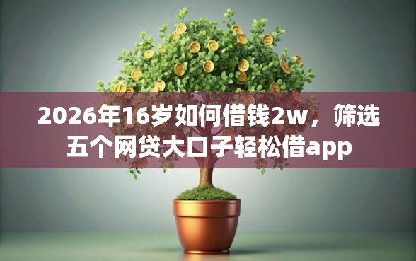 2026年16岁如何借钱2w，筛选五个网贷大口子轻松借app