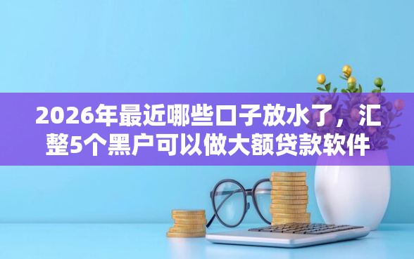2026年最近哪些口子放水了，汇整5个黑户可以做大额贷款软件
