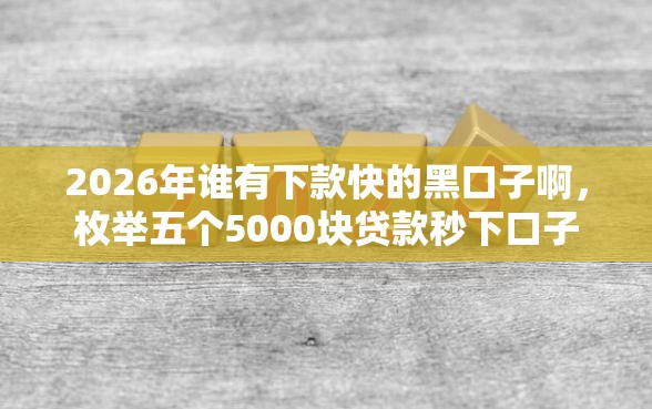 2026年谁有下款快的黑口子啊，枚举五个5000块贷款秒下口子