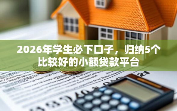 2026年学生必下口子，归纳5个比较好的小额贷款平台