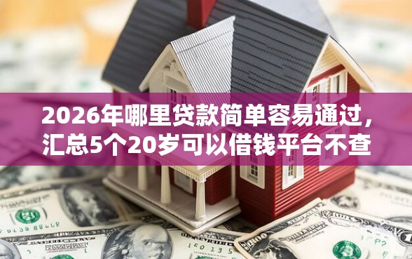 2026年哪里贷款简单容易通过，汇总5个20岁可以借钱平台不查征信的平台