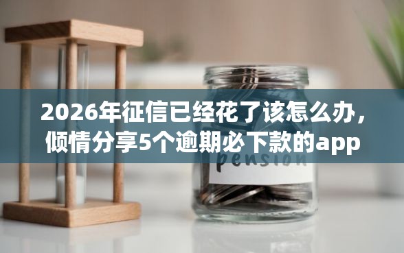 2026年征信已经花了该怎么办，倾情分享5个逾期必下款的app