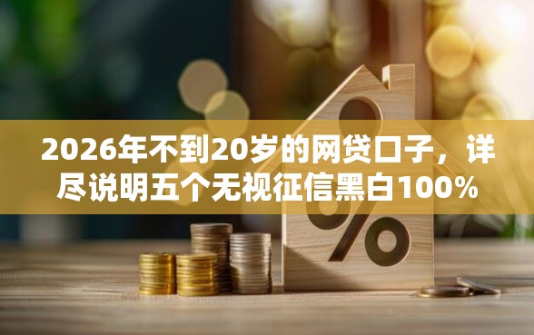 2026年不到20岁的网贷口子，详尽说明五个无视征信黑白100%秒下口子