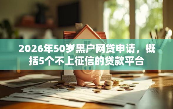 2026年50岁黑户网贷申请，概括5个不上征信的贷款平台