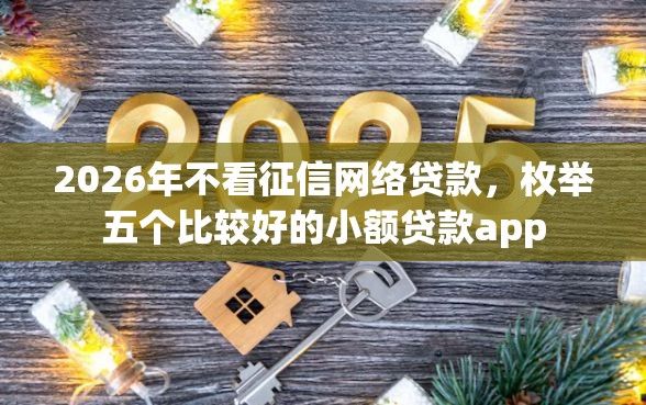 2026年不看征信网络贷款，枚举五个比较好的小额贷款app