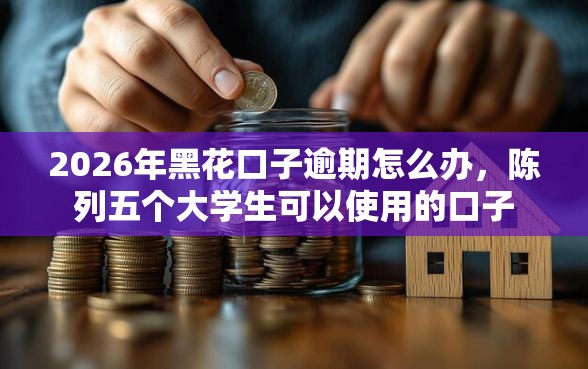 2026年黑花口子逾期怎么办，陈列五个大学生可以使用的口子