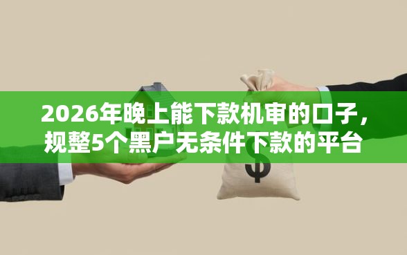 2026年晚上能下款机审的口子，规整5个黑户无条件下款的平台