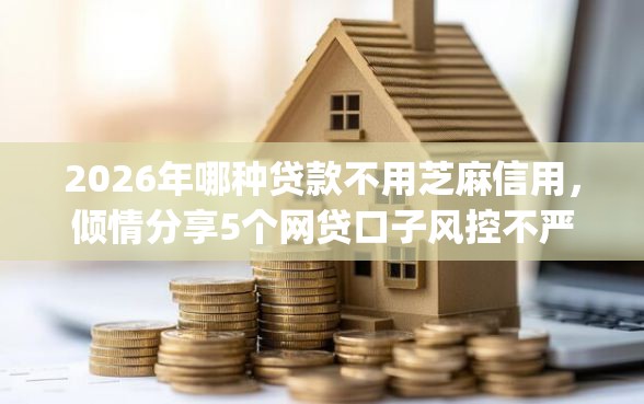 2026年哪种贷款不用芝麻信用，倾情分享5个网贷口子风控不严的app
