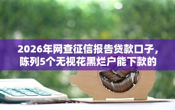 2026年网查征信报告贷款口子，陈列5个无视花黑烂户能下款的网贷