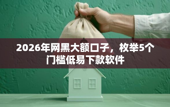 2026年网黑大额口子，枚举5个门槛低易下款软件