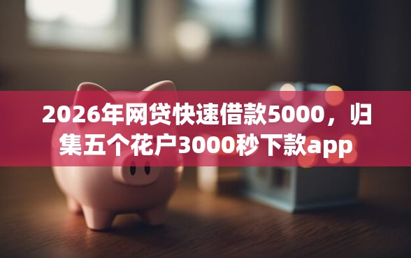 2026年网贷快速借款5000，归集五个花户3000秒下款app