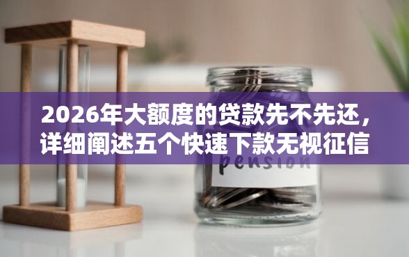 2026年大额度的贷款先不先还，详细阐述五个快速下款无视征信的平台