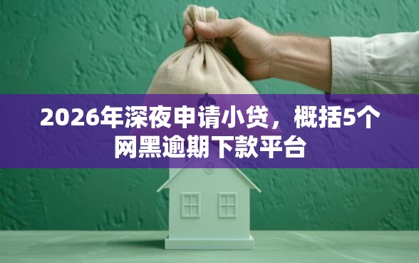 2026年深夜申请小贷，概括5个网黑逾期下款平台