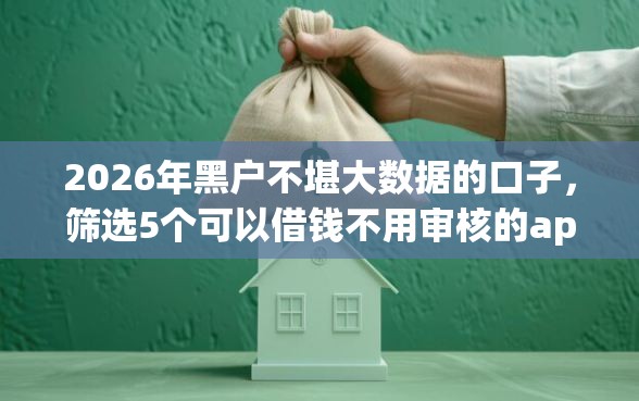 2026年黑户不堪大数据的口子，筛选5个可以借钱不用审核的app