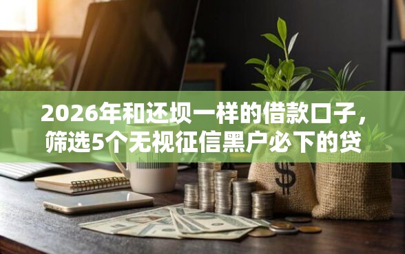 2026年和还坝一样的借款口子，筛选5个无视征信黑户必下的贷款口子
