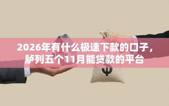 2026年有什么极速下款的口子,胪列五个11月能贷款的平台 2026年有什么极速下款的口子,胪列五个11月能贷款的平台