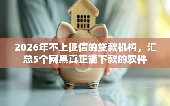 2026年不上征信的贷款机构，汇总5个网黑真正能下款的软件