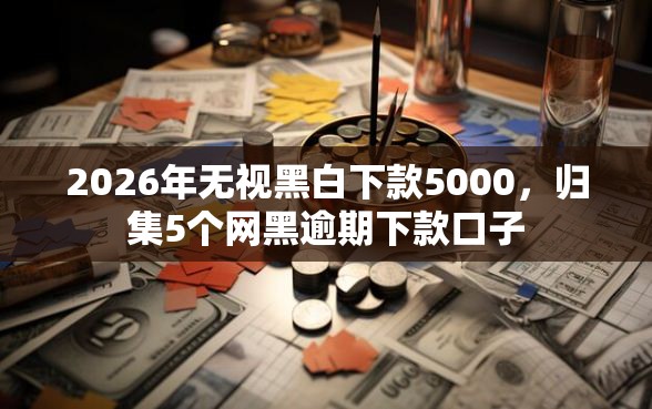 2026年无视黑白下款5000，归集5个网黑逾期下款口子