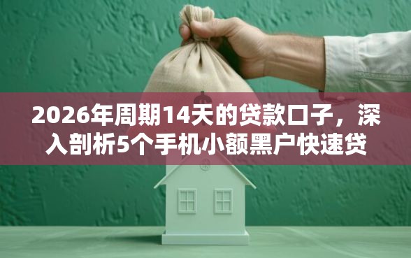 2026年周期14天的贷款口子，深入剖析5个手机小额黑户快速贷款软件