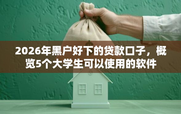 2026年黑户好下的贷款口子，概览5个大学生可以使用的软件