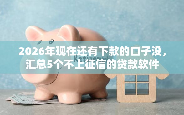 2026年现在还有下款的口子没，汇总5个不上征信的贷款软件